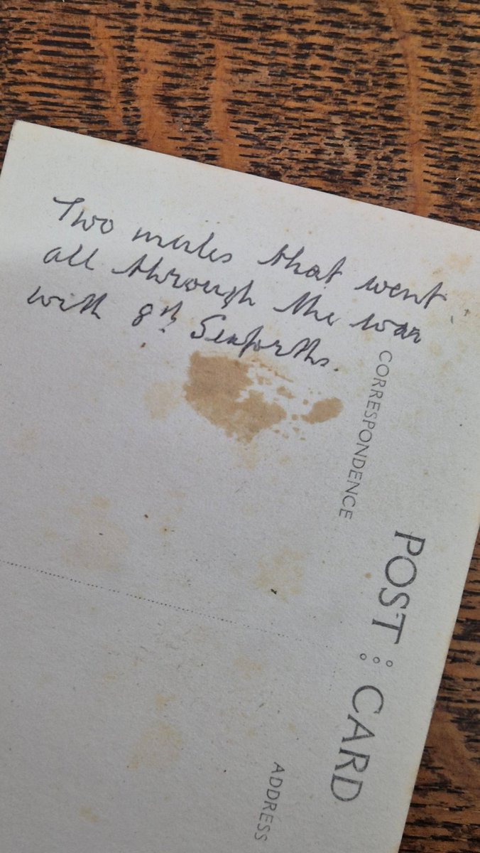 Petersfield Bookshop tweet media