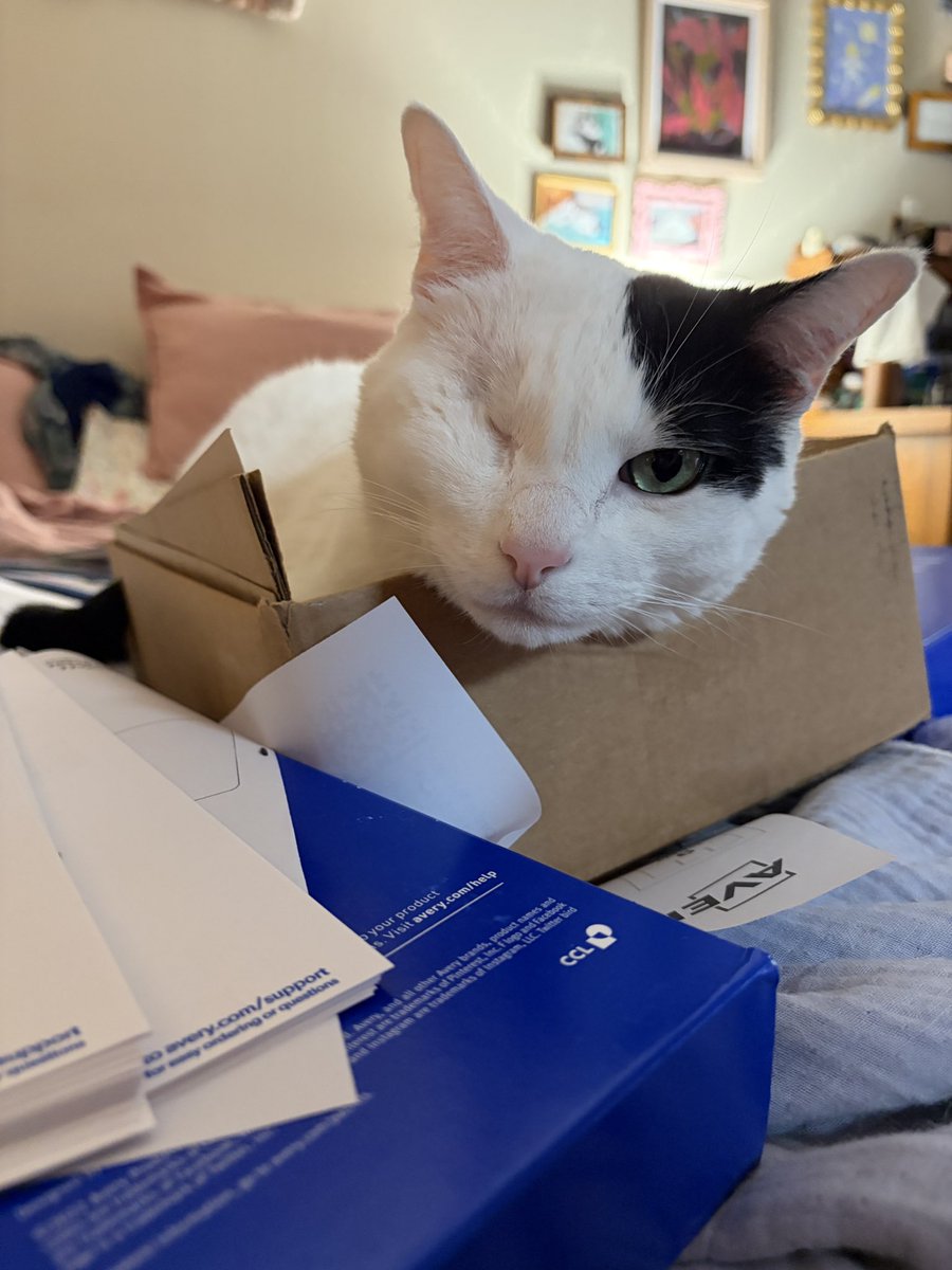 California Stars tweet media