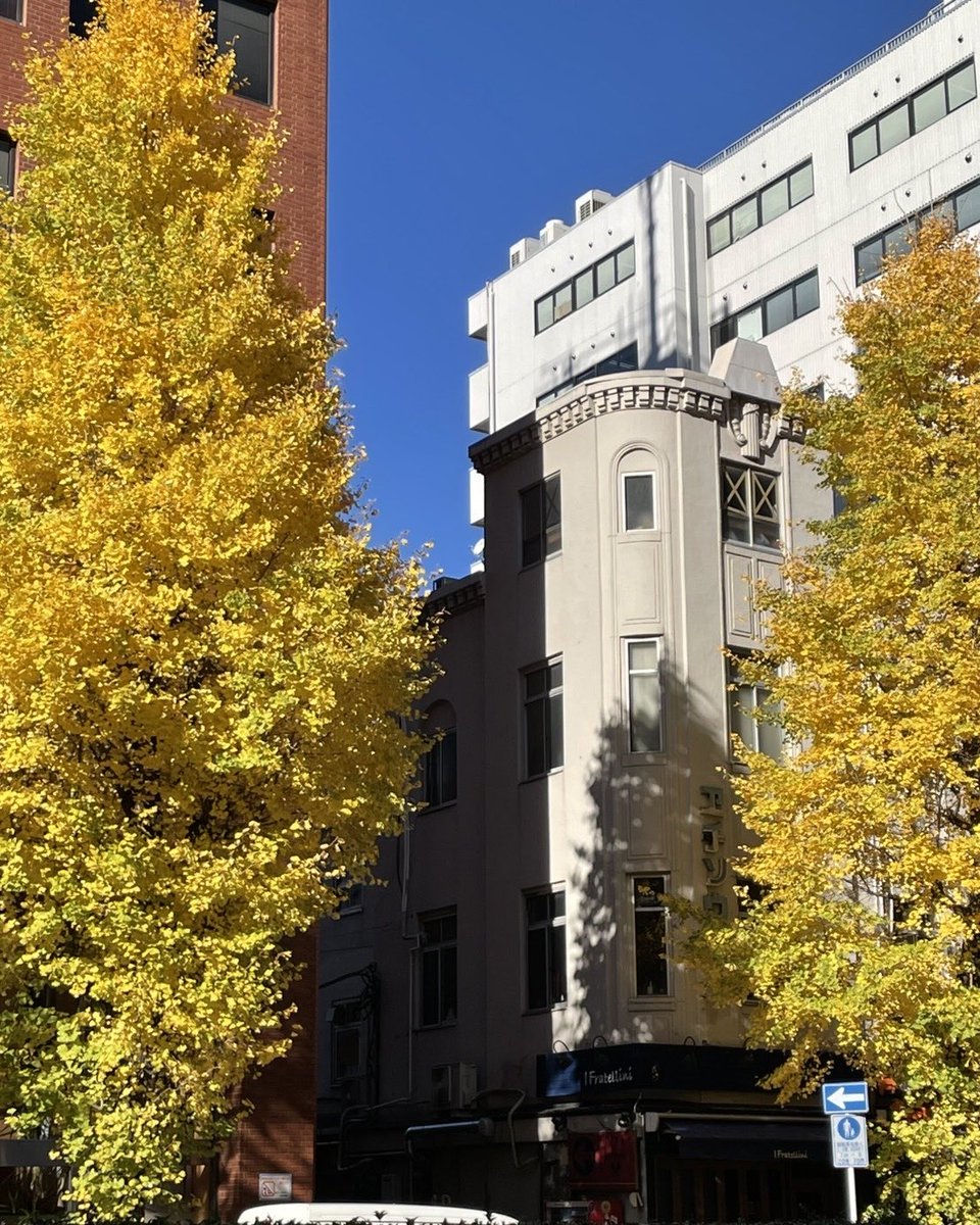 ミドちん tweet media