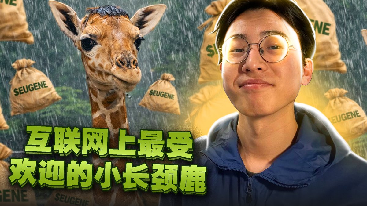 M I R A Y 🇨🇳 tweet media