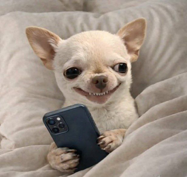 NTAECH(⨀,) tweet media