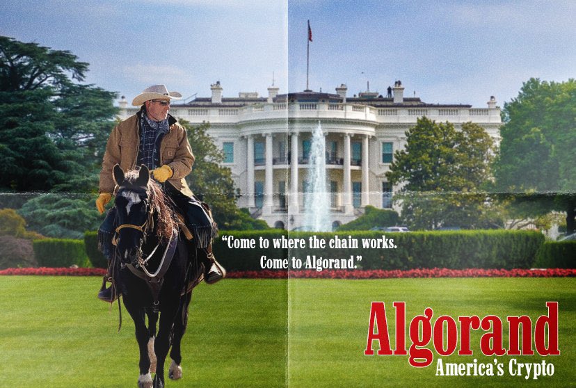 J Hole 🚽 tweet media