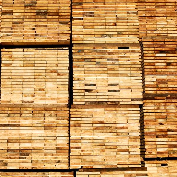 Forestry is a Solution tweet media