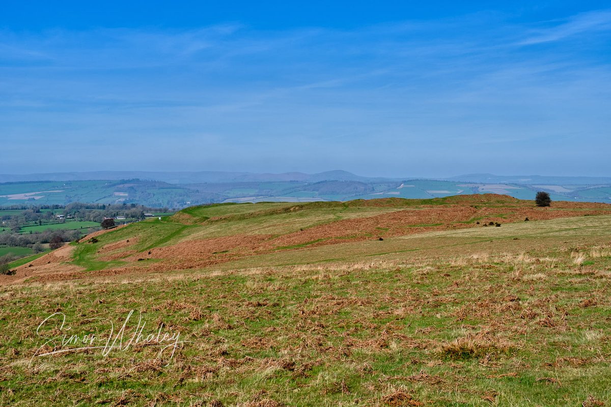 Simon Whaley: Author | Writer | Photographer tweet media