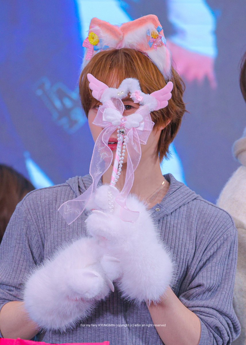 𝑬𝒍𝒇𝒊𝒏 tweet media