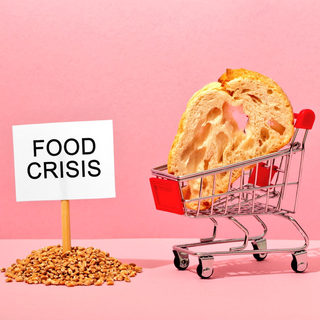 World of StatHistics tweet media