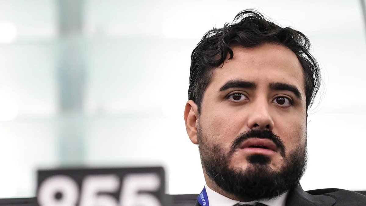 NOVALEX, Boutique Legal tweet media