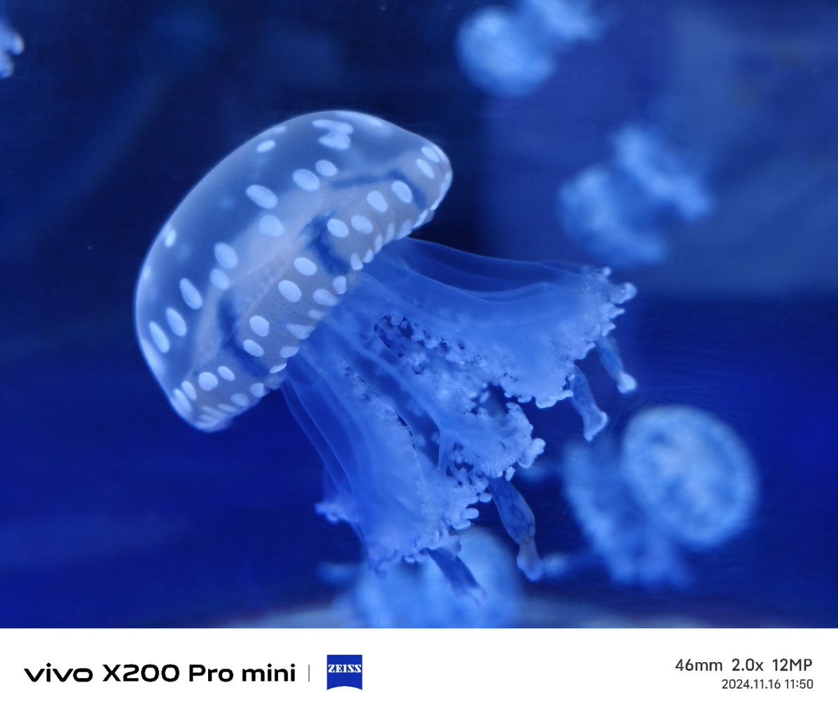 KellanOdelIsI tweet media