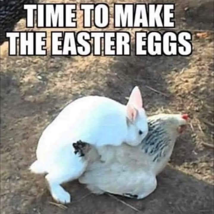 AmericaReal tweet media