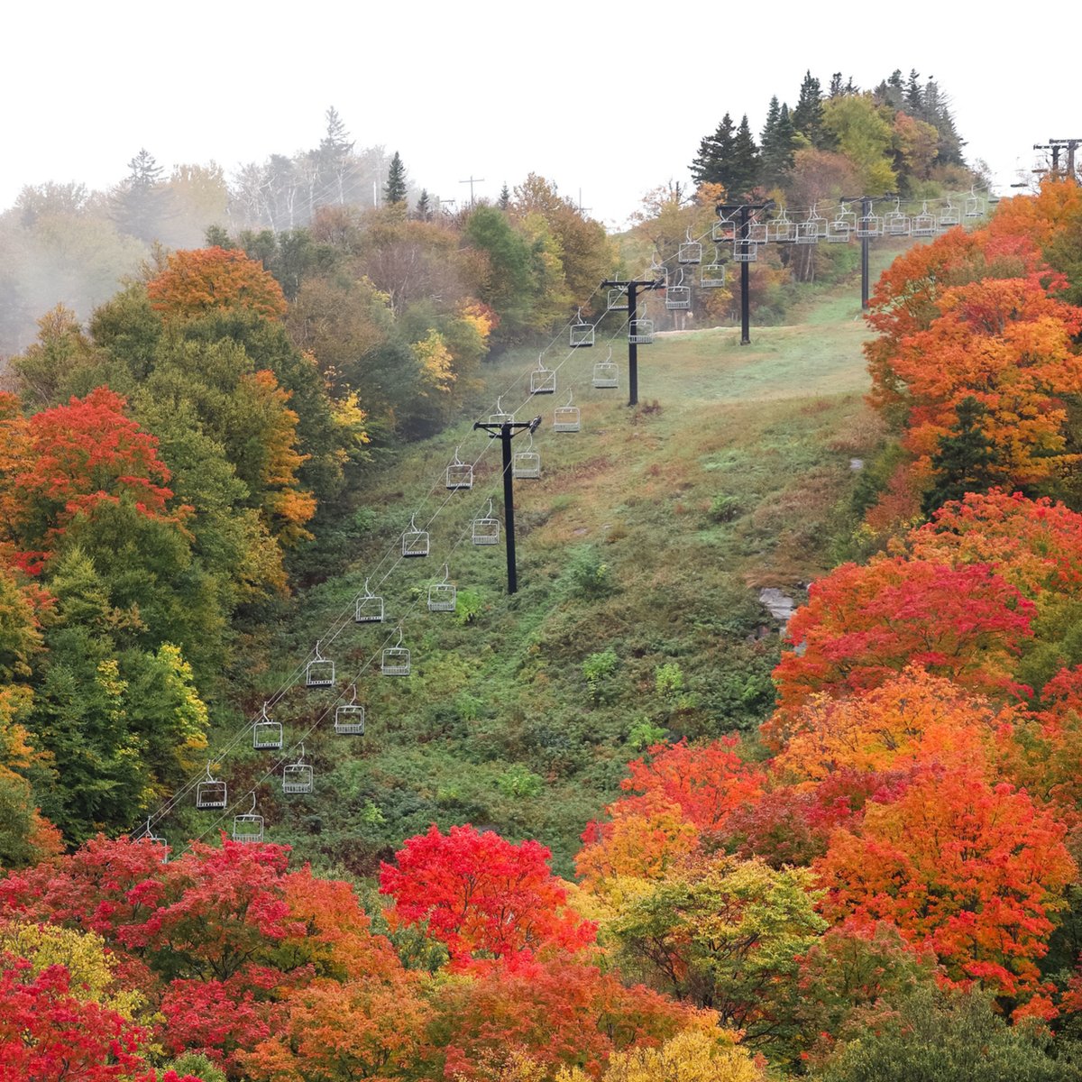 Killington Resort tweet media