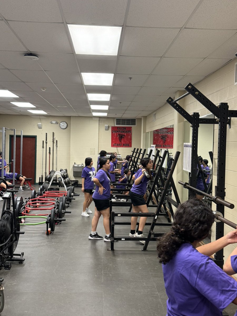 Lady Falcon Hoops tweet media