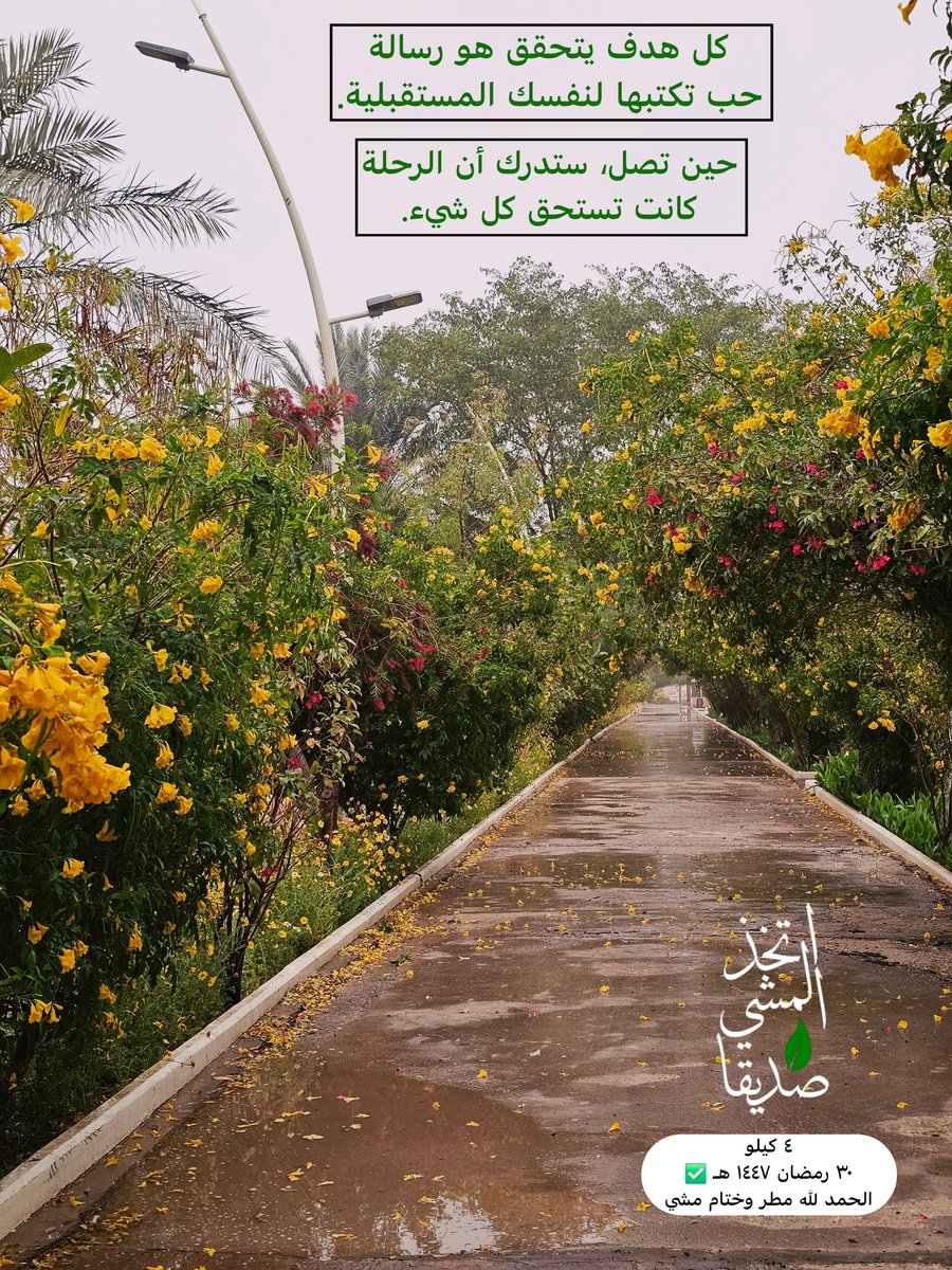 ♢🚶‍♂ممشى و مشي 👍🏻 ♦ tweet media