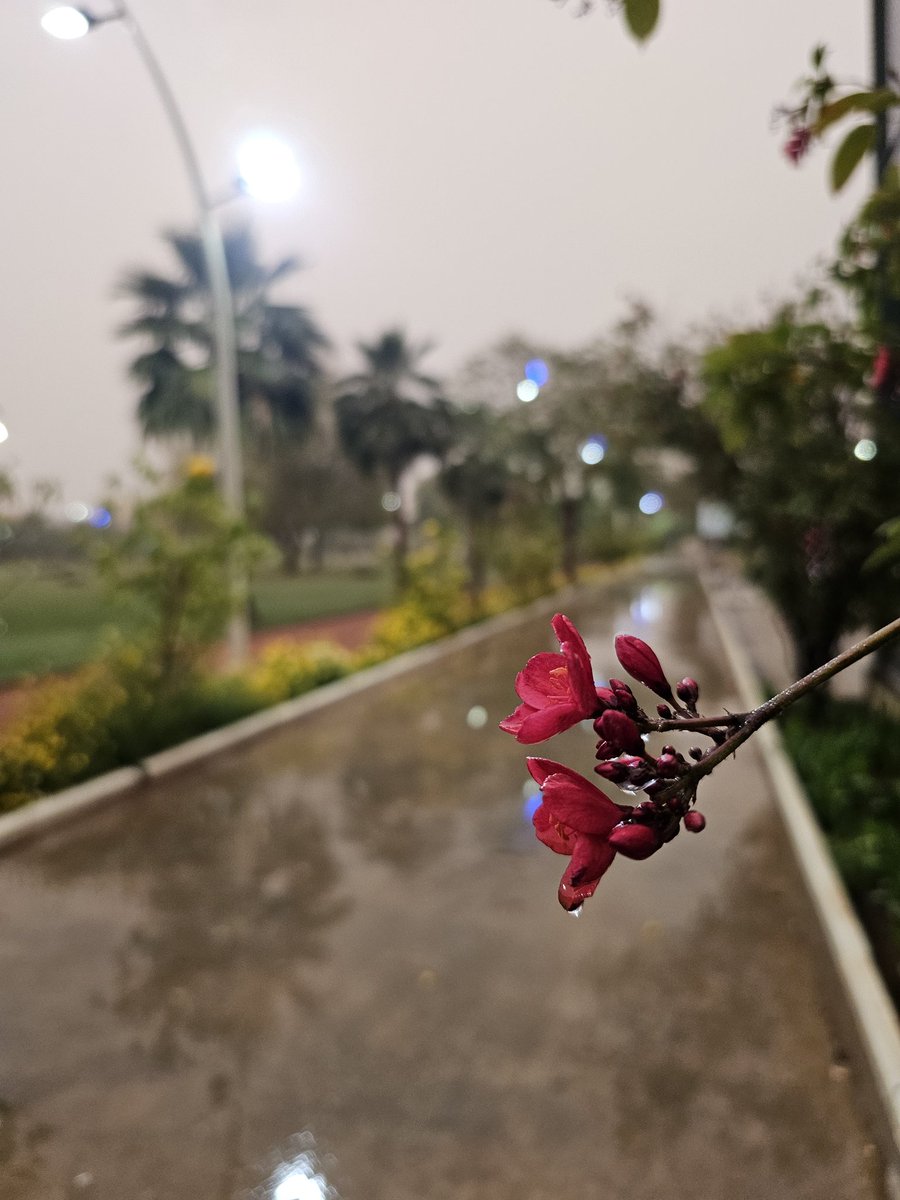 ♢🚶‍♂ممشى و مشي 👍🏻 ♦ tweet media