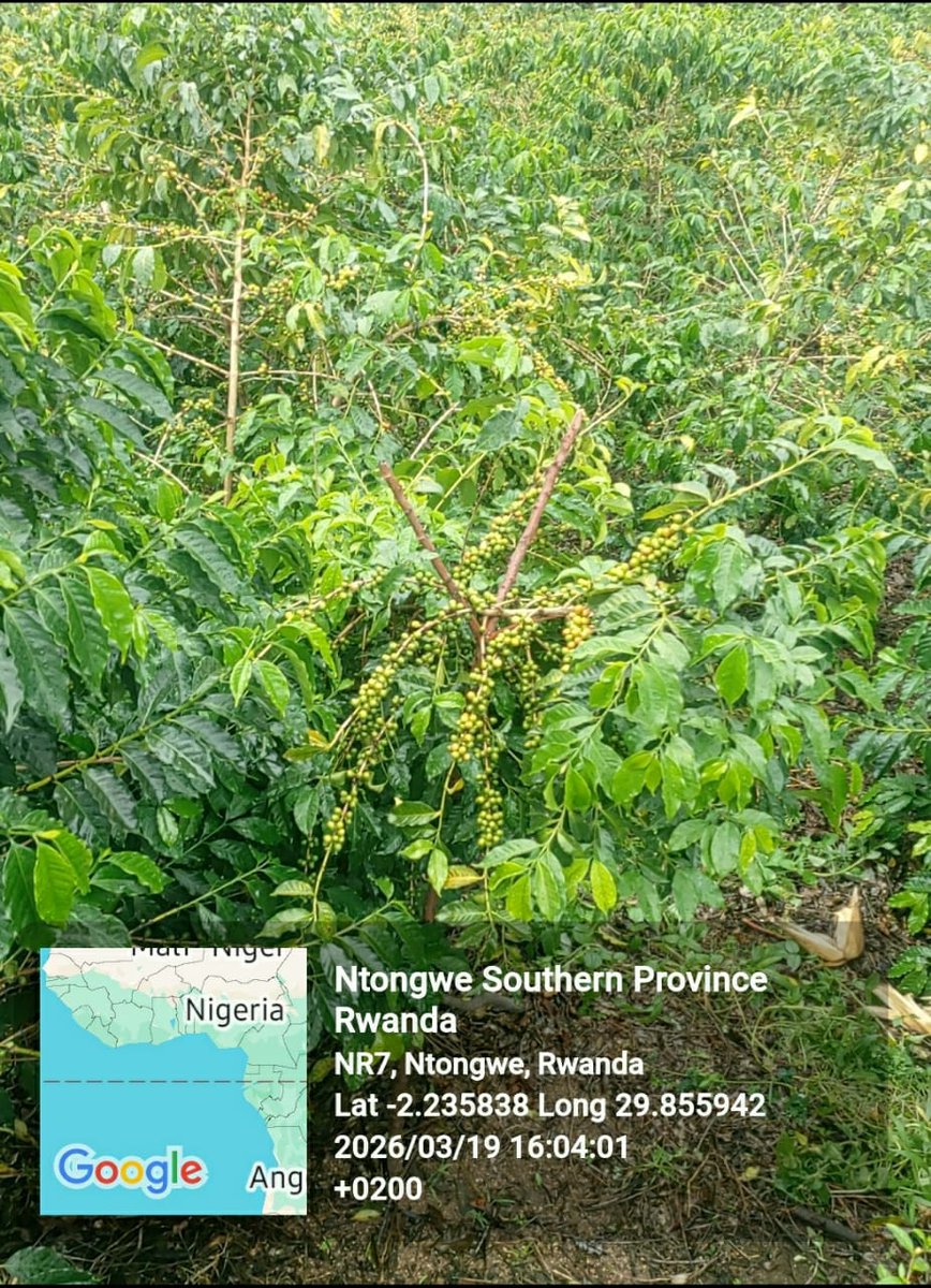 Ruhango District tweet media