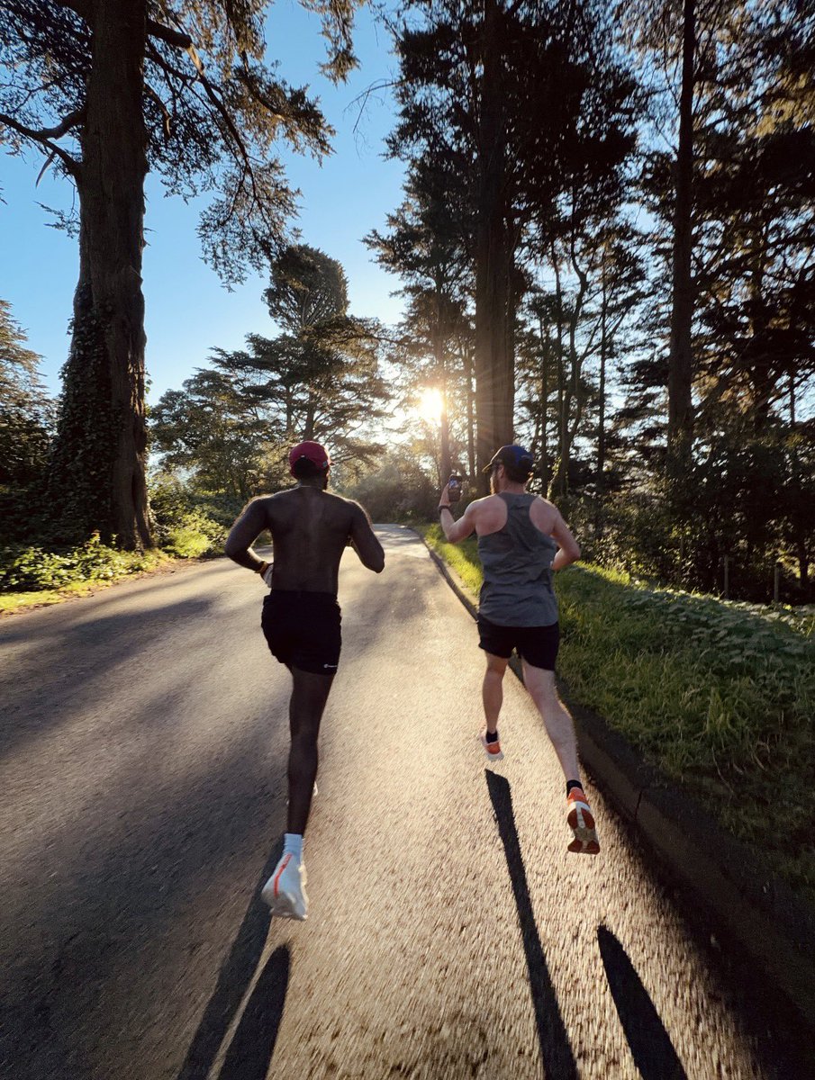 Jonathan Levitt tweet media