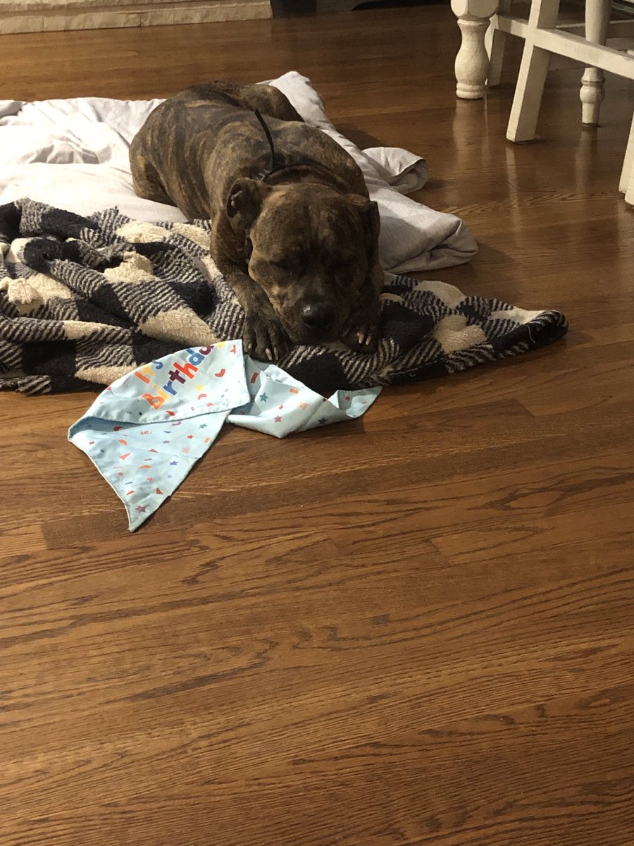 FirstRoundBust tweet media