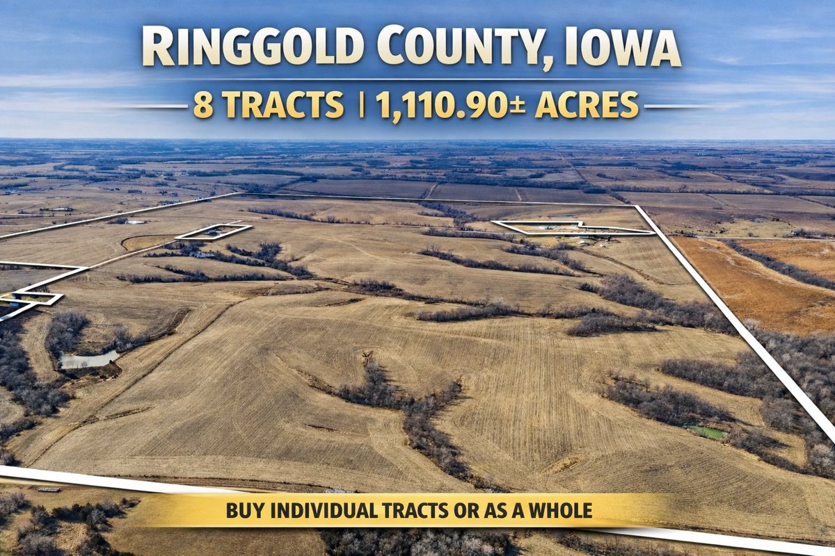 Whitaker Marketing Group tweet media