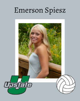 Aurora Gambit tweet media