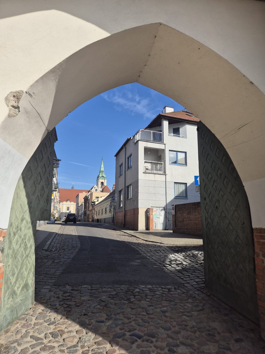 Track & Field Tours tweet media