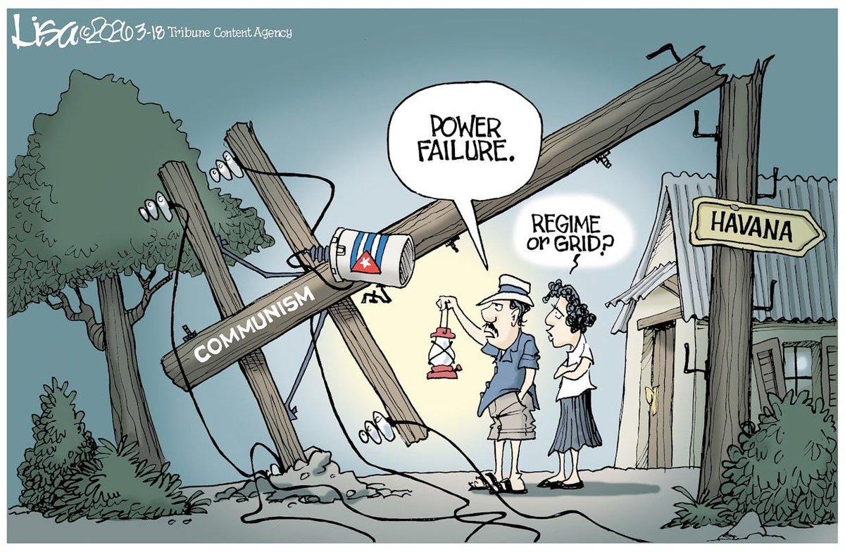 M.A. Rothman tweet media