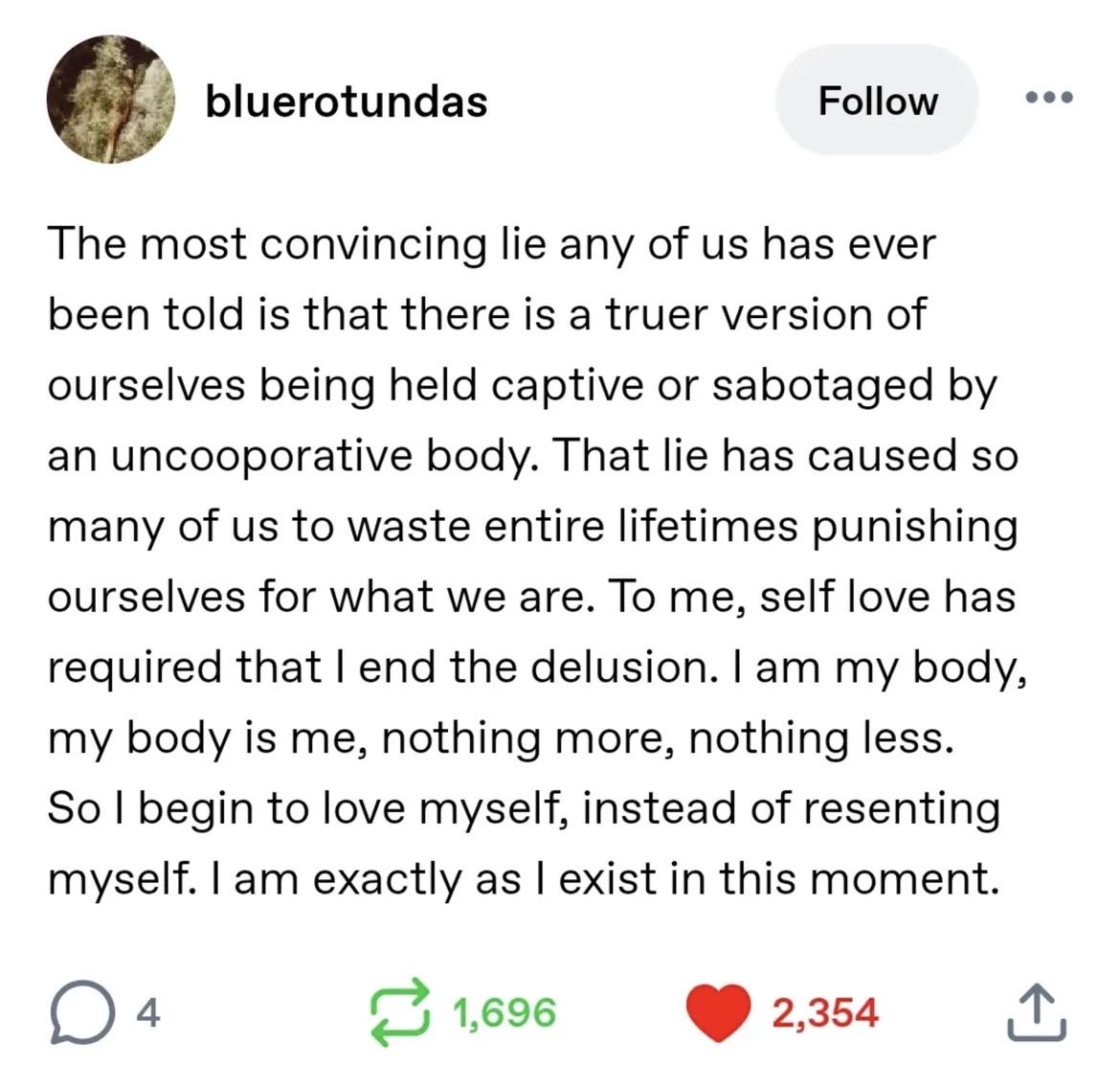 ame 🪷 tweet media