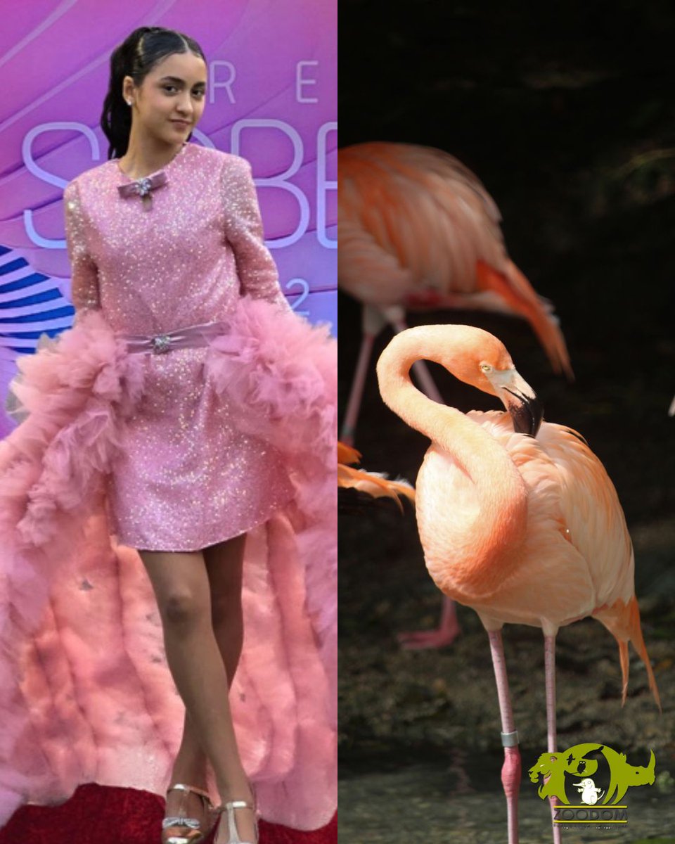 Parque Zoológico Nacional tweet media