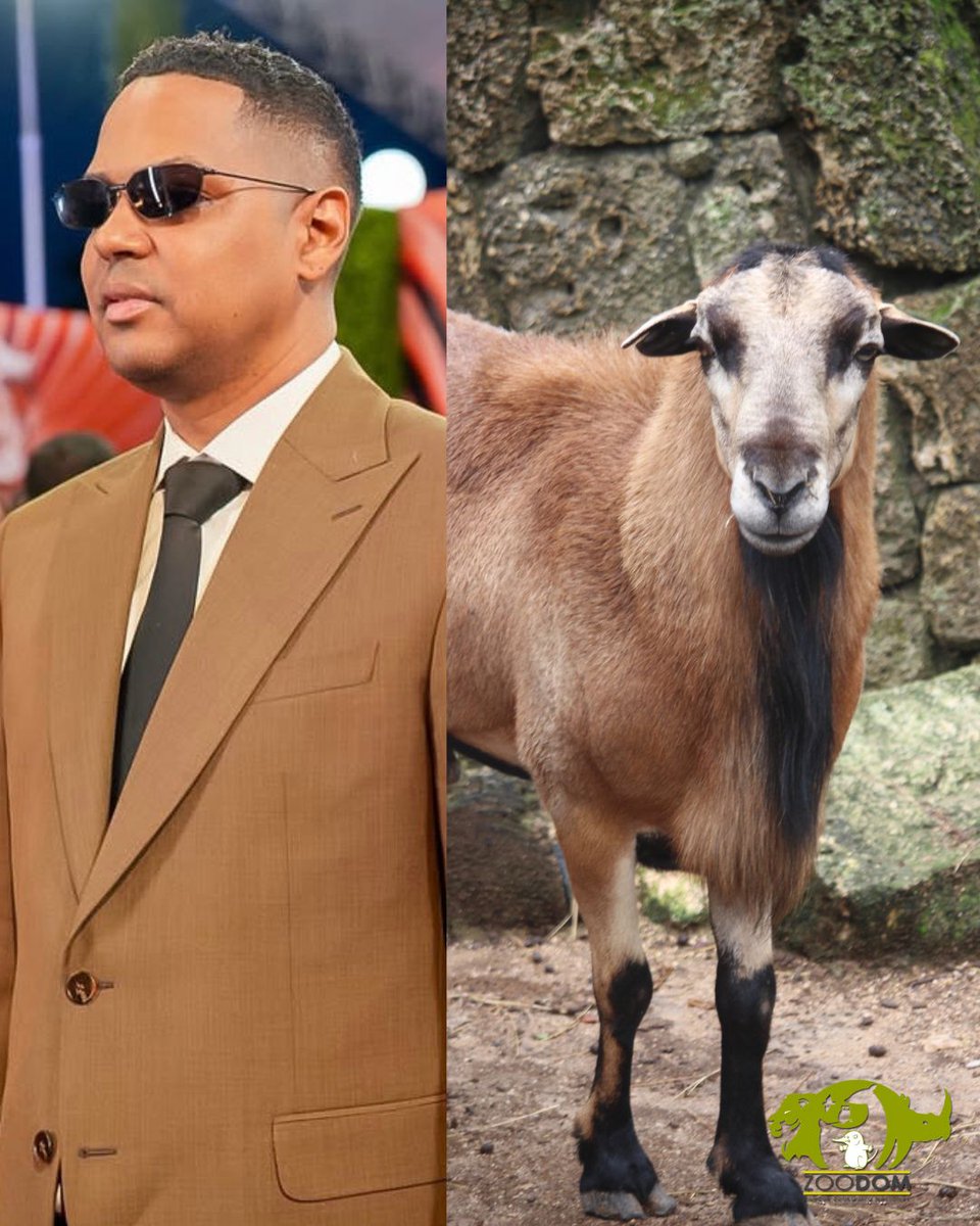 Parque Zoológico Nacional tweet media