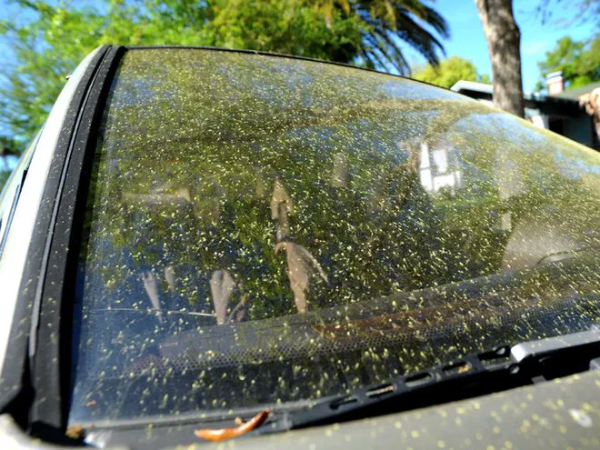 𝙶𝚛𝚞𝚖𝚙𝚢 𝙾𝚕𝚍𝚖𝚊𝚗 tweet media