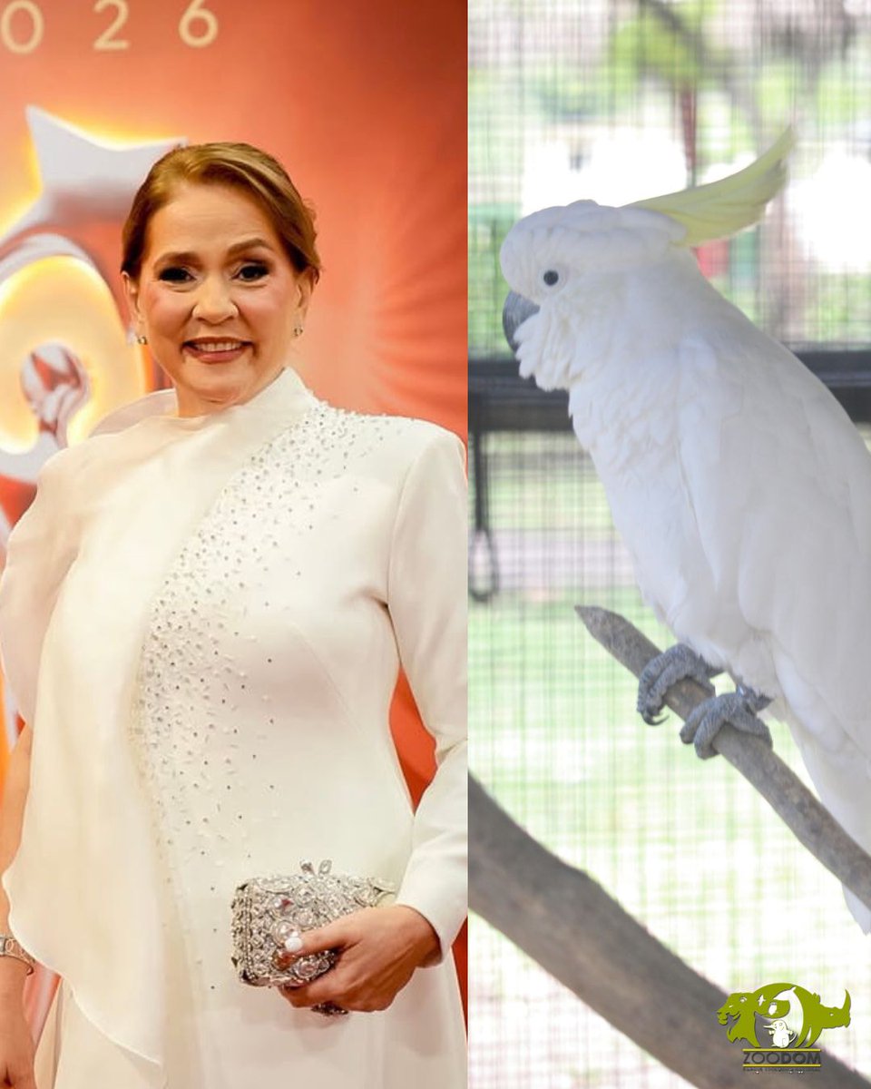 Parque Zoológico Nacional tweet media