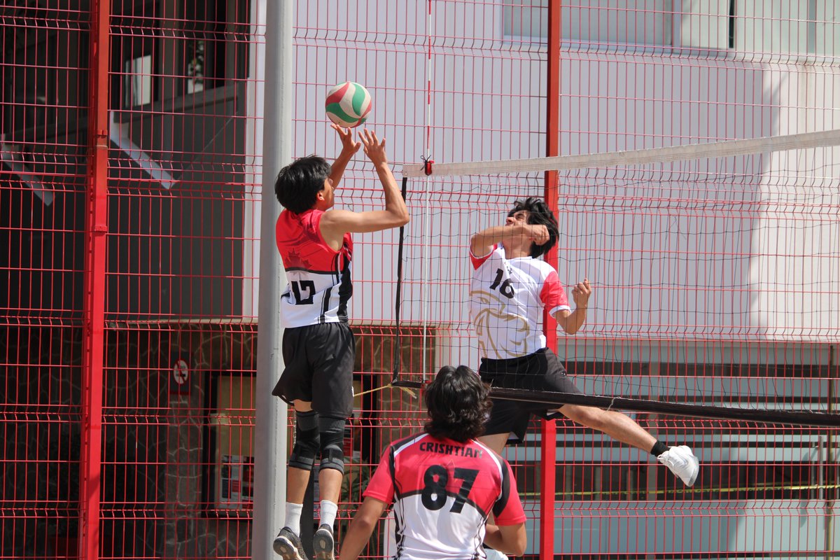 Prepa UPAEP tweet media