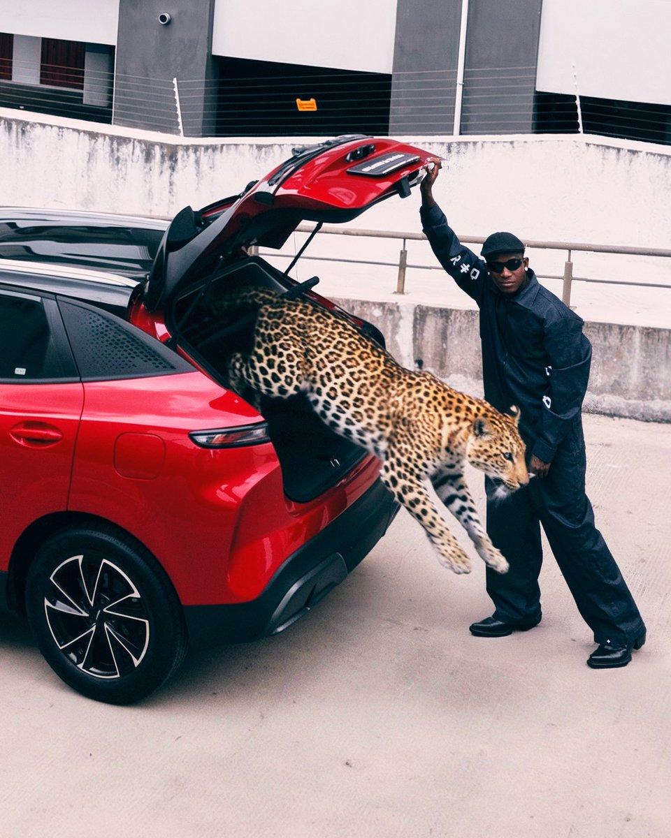 Eckollection tweet media