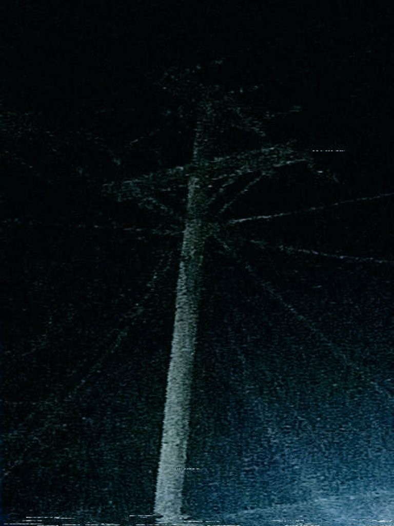 catojec ✦ tweet media