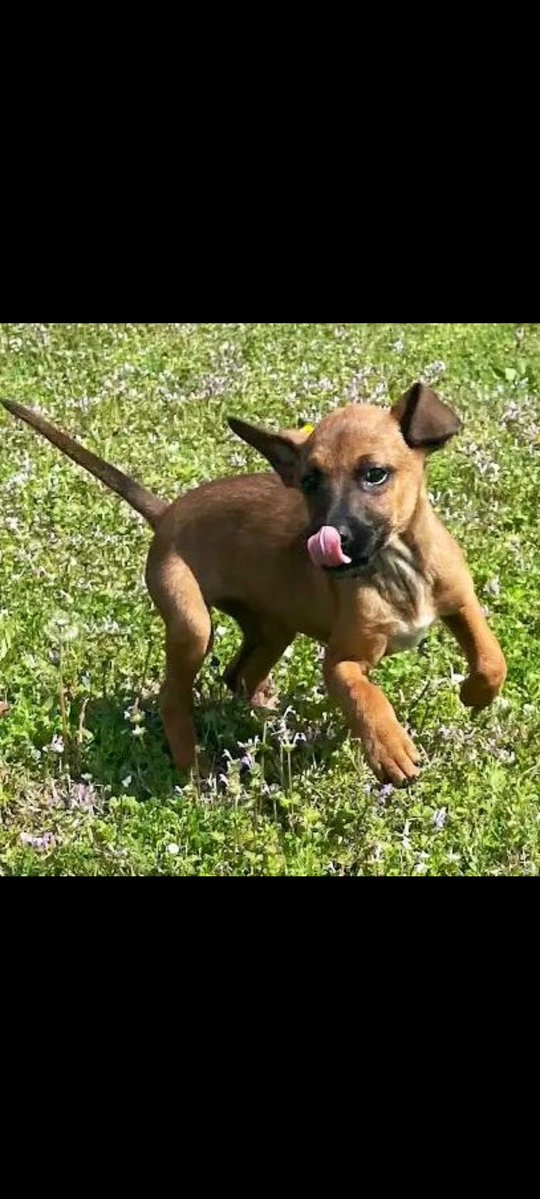 Wintersky tweet media