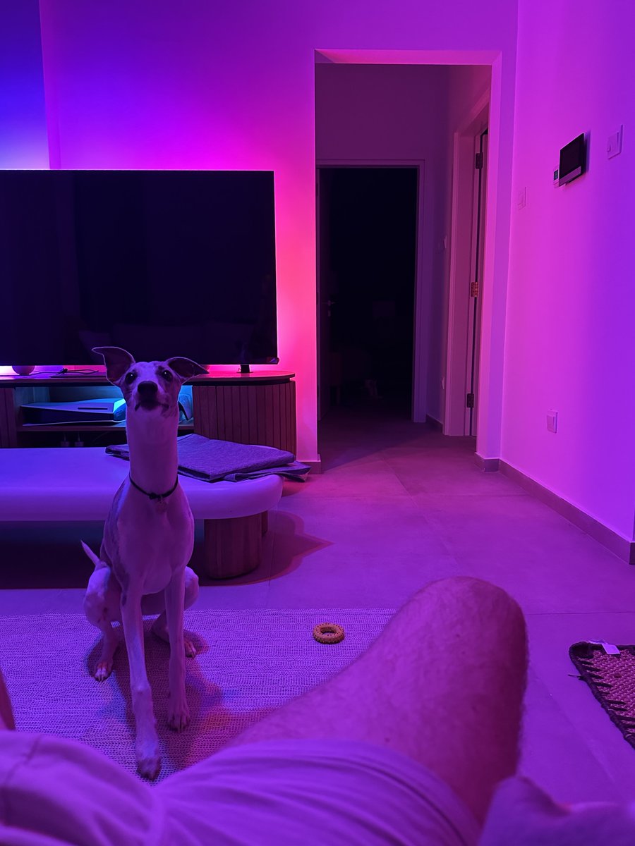 Loschique tweet media