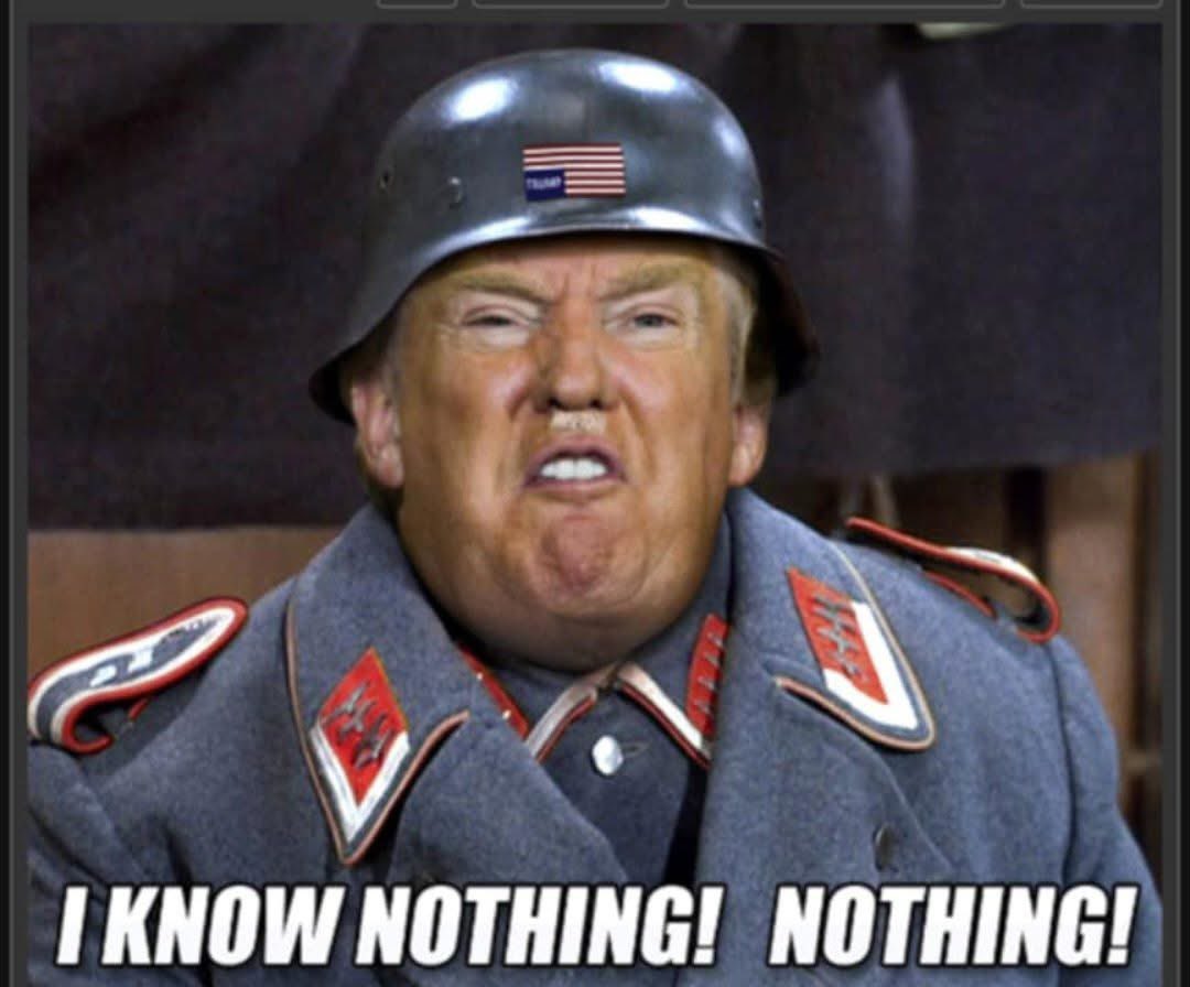 Bailey George Zuzu 💙 🌊 💙 🌊 tweet media