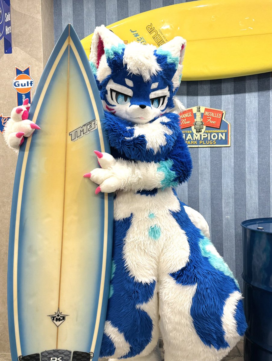 ナミカゼ tweet media