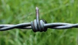 💫Y E N T L tweet media