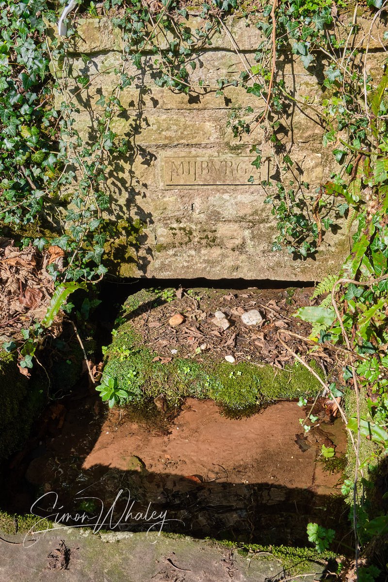 Simon Whaley: Author | Writer | Photographer tweet media