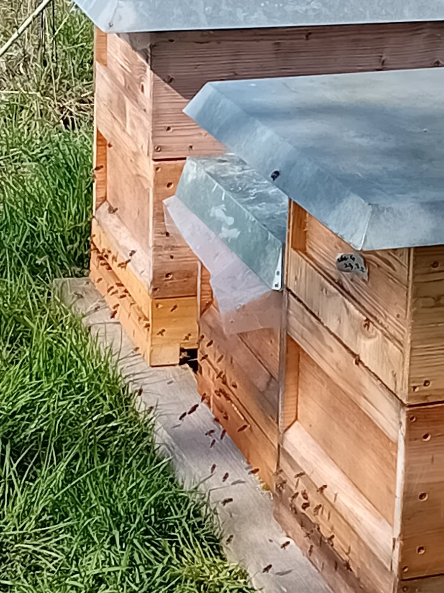 Carrrie die Irre Hexe mit 🍷 tweet media