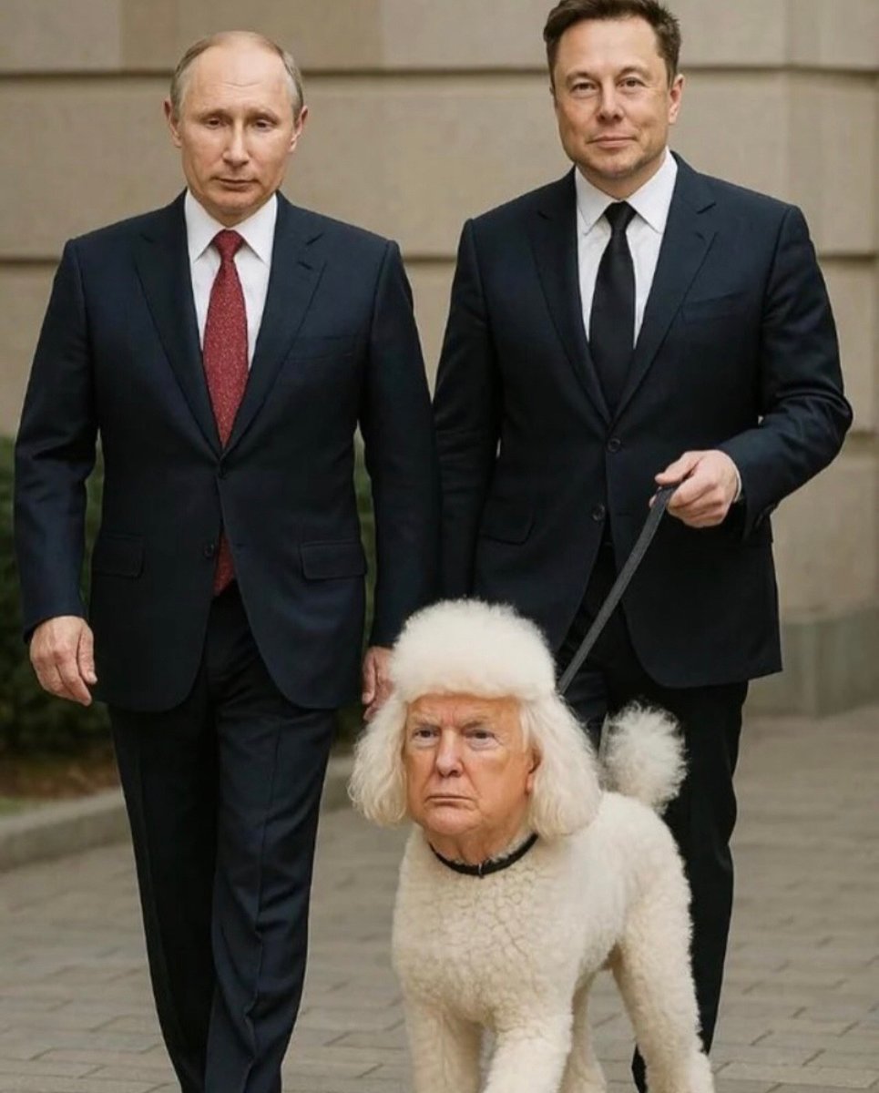 💙Blue birdy💙 tweet media