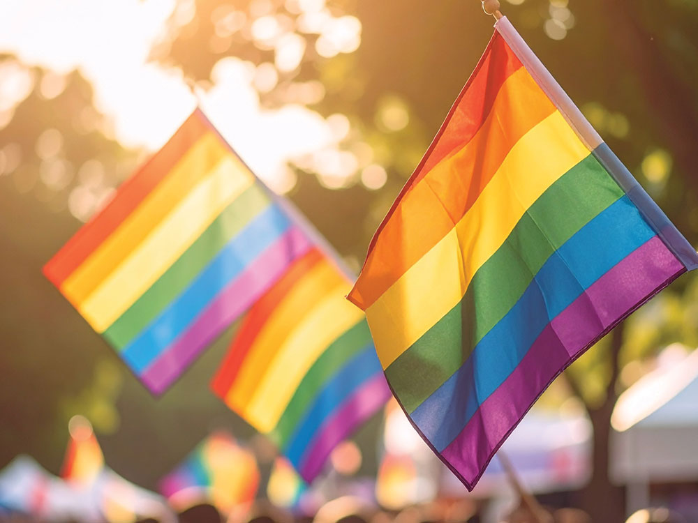 Bay Windows tweet media