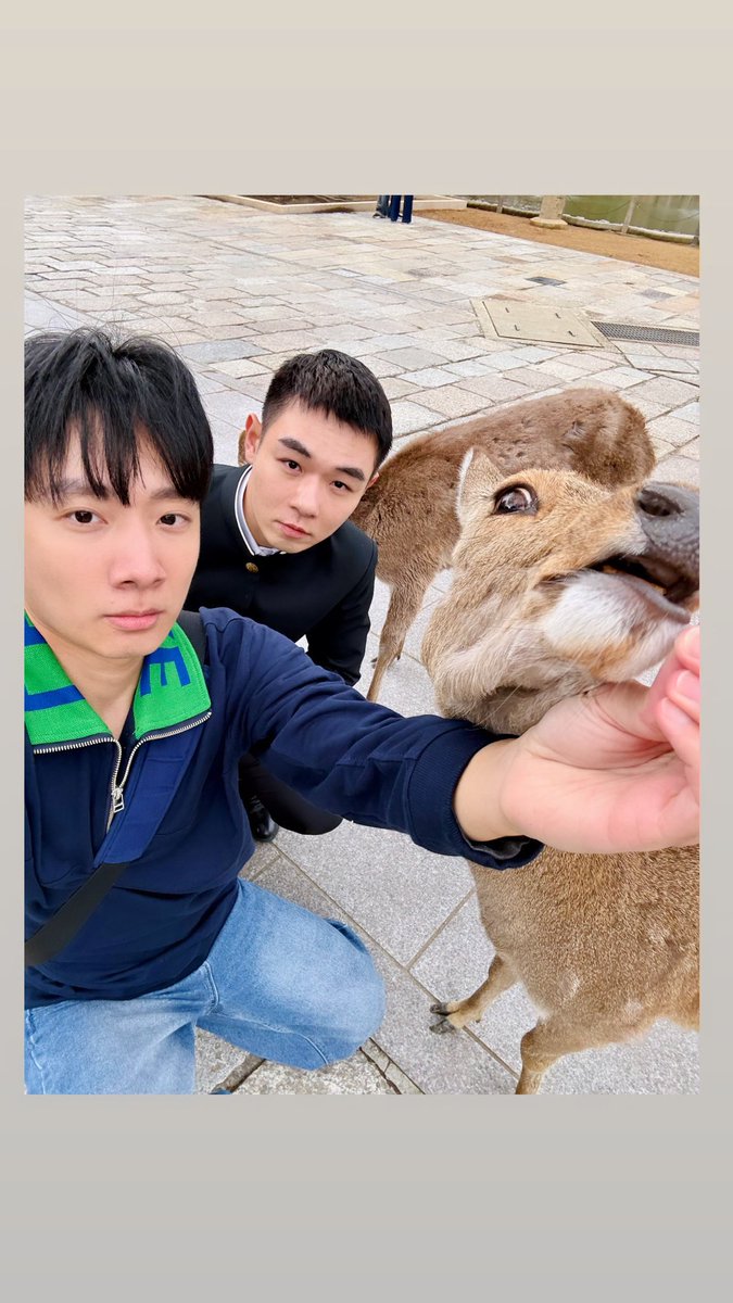 新鮮社畜 tweet media