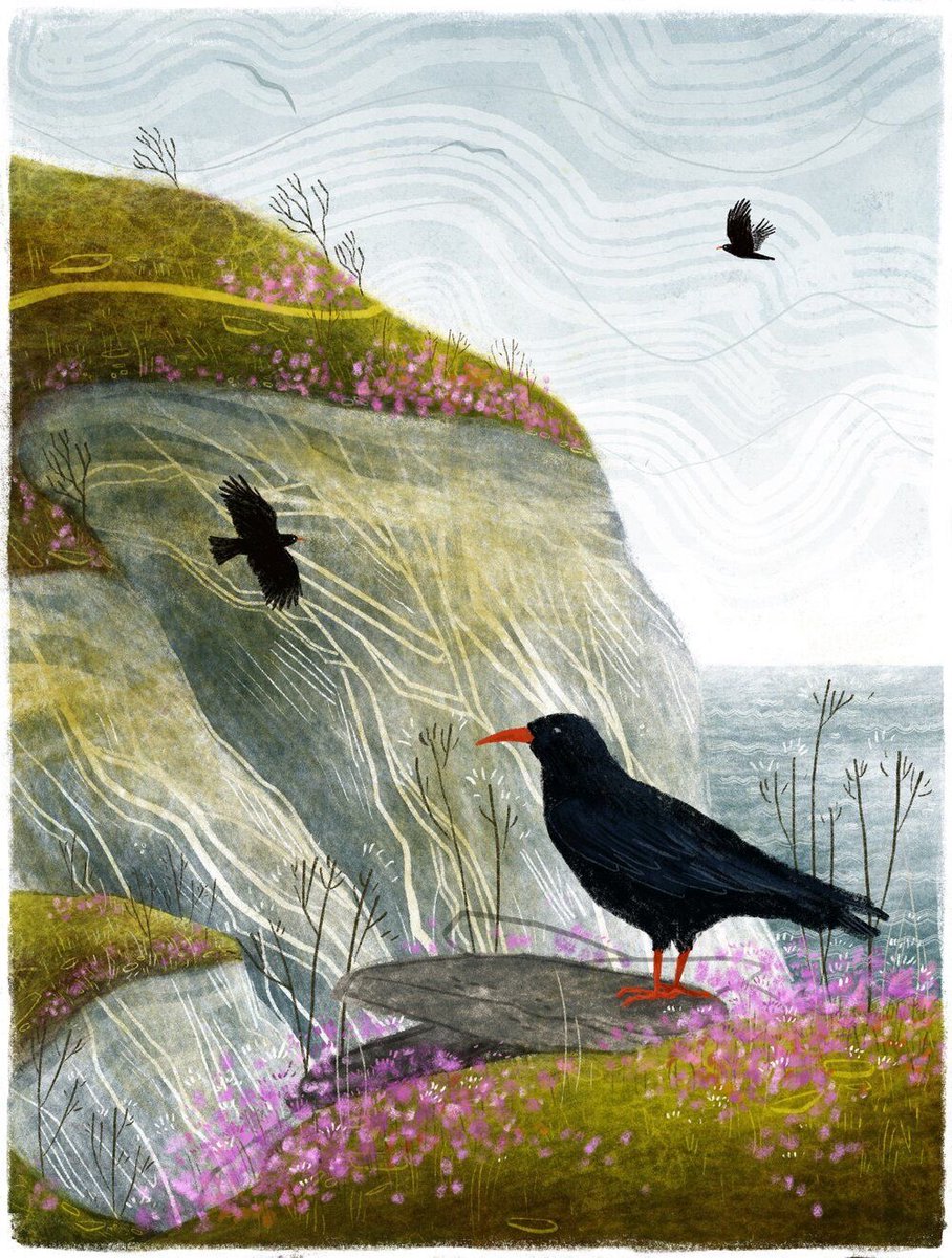 helen warlow tweet media