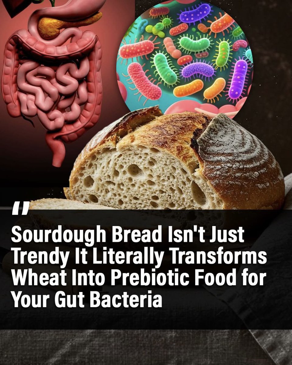 SciTech Girl tweet media