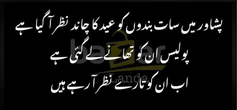 Mirvais Niaz tweet media