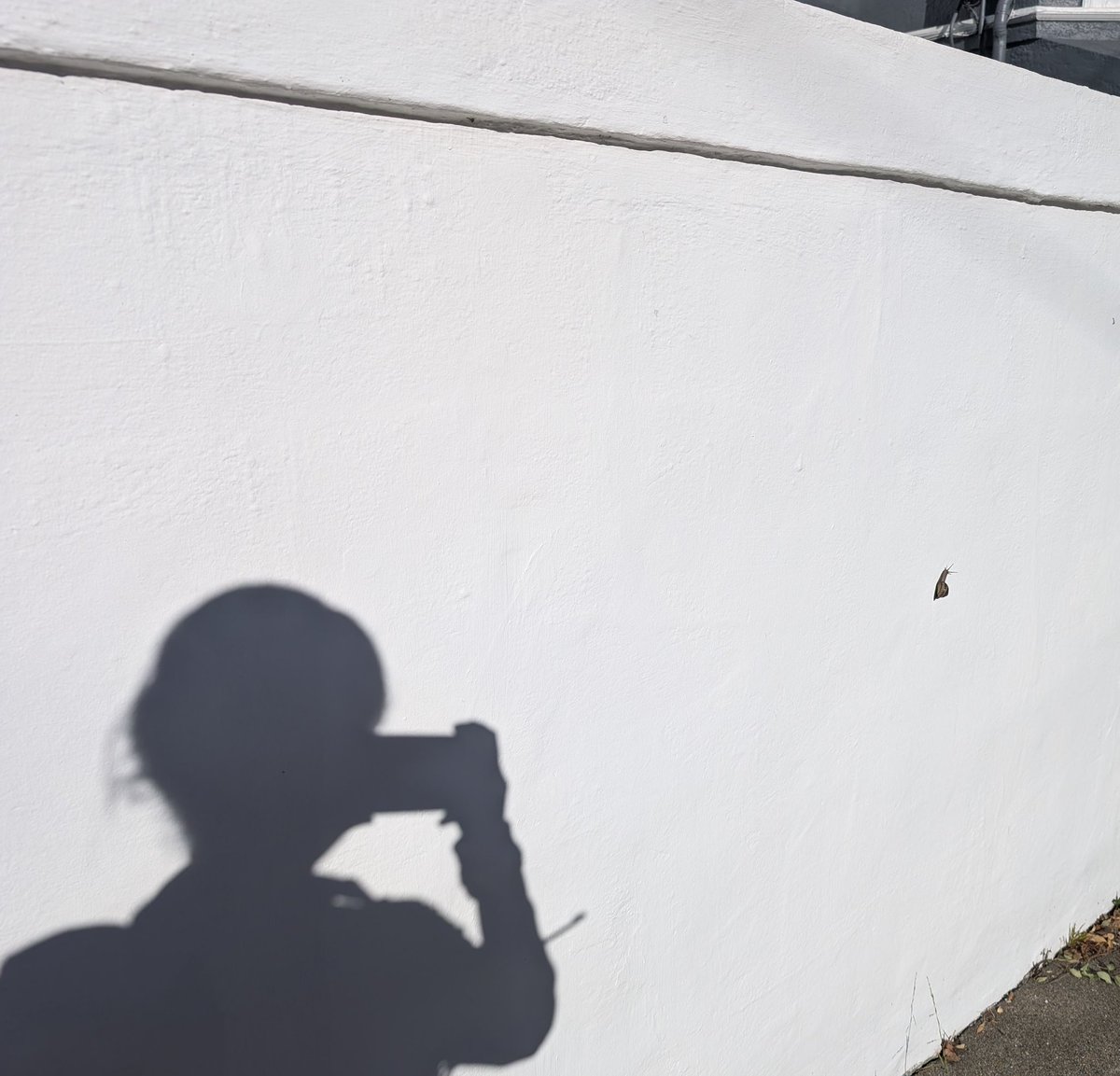 👩‍💻 Paige Bailey tweet media