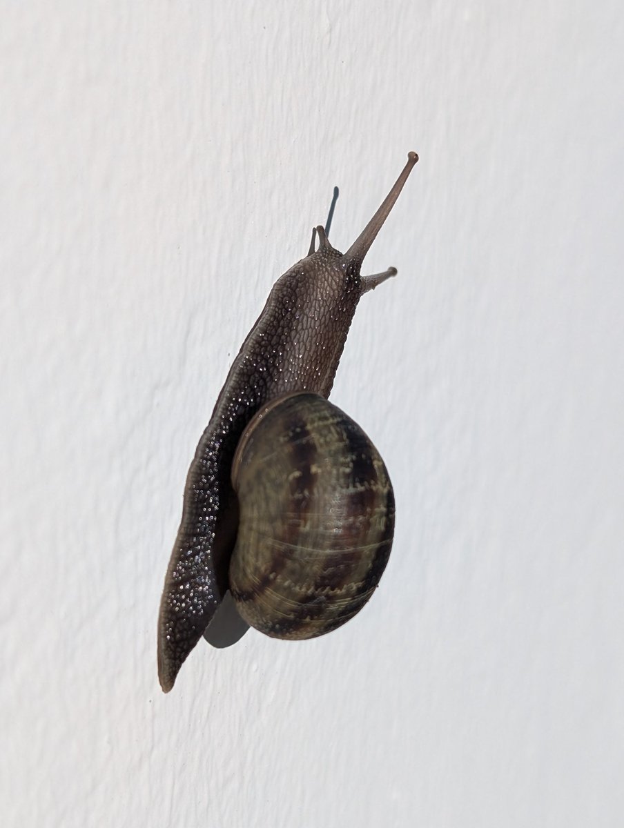 👩‍💻 Paige Bailey tweet media