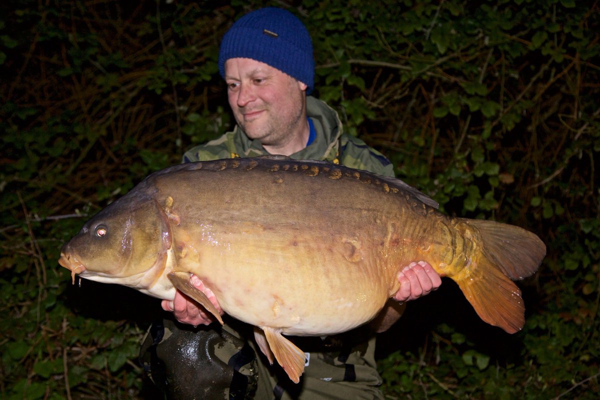 Mainline Baits Official tweet media