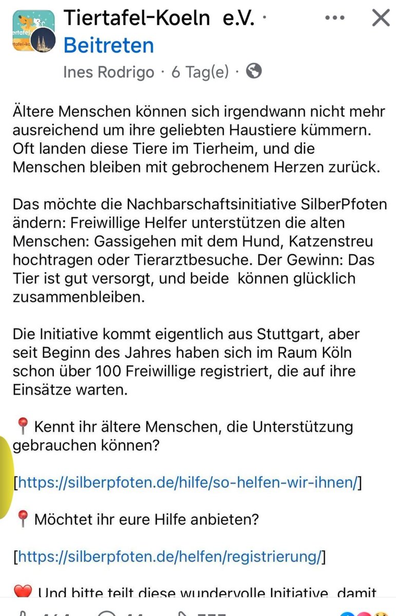 Babsi58089's tweet image. #Köln #Info #Silberpfoten #Haustierhilfe