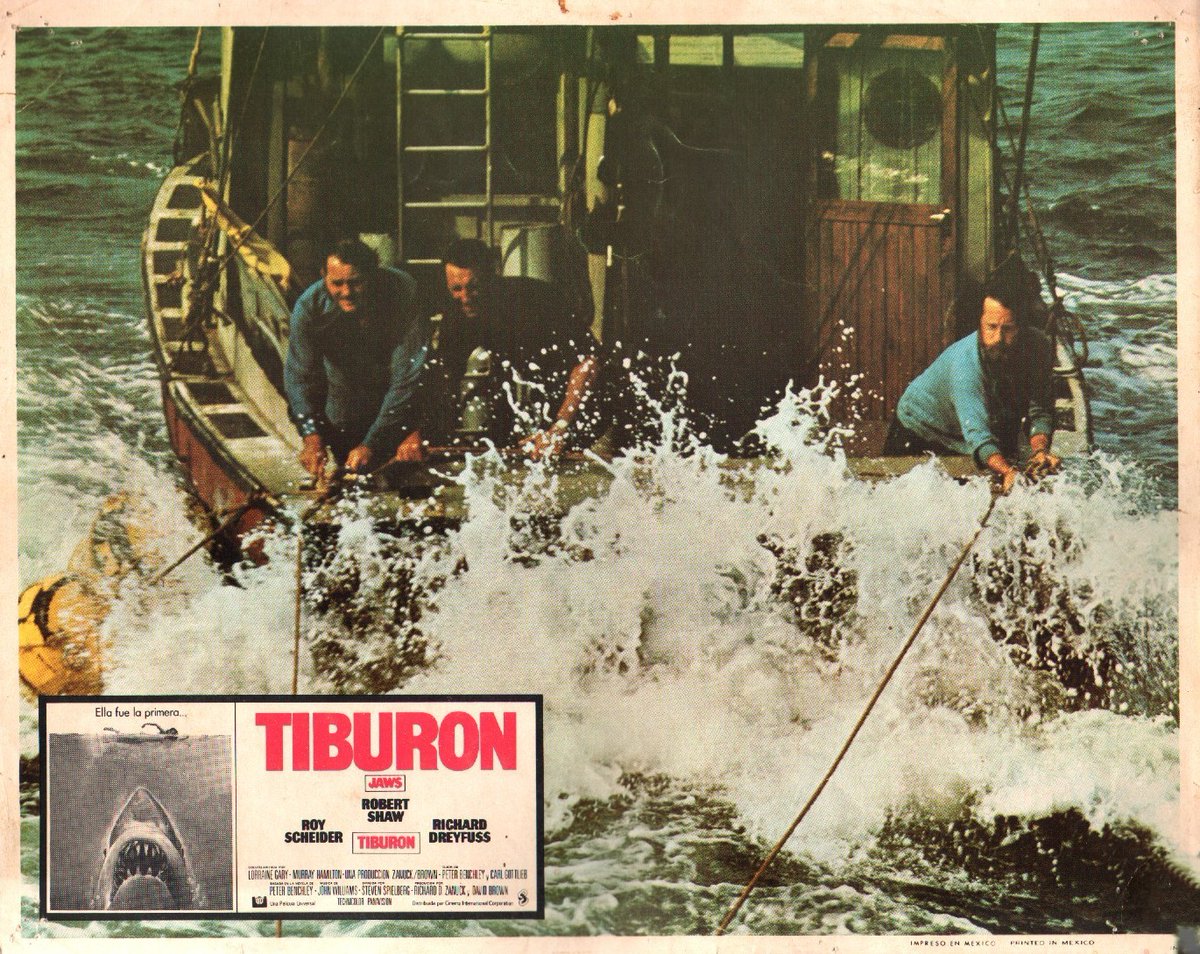 Phenomena Experience tweet media